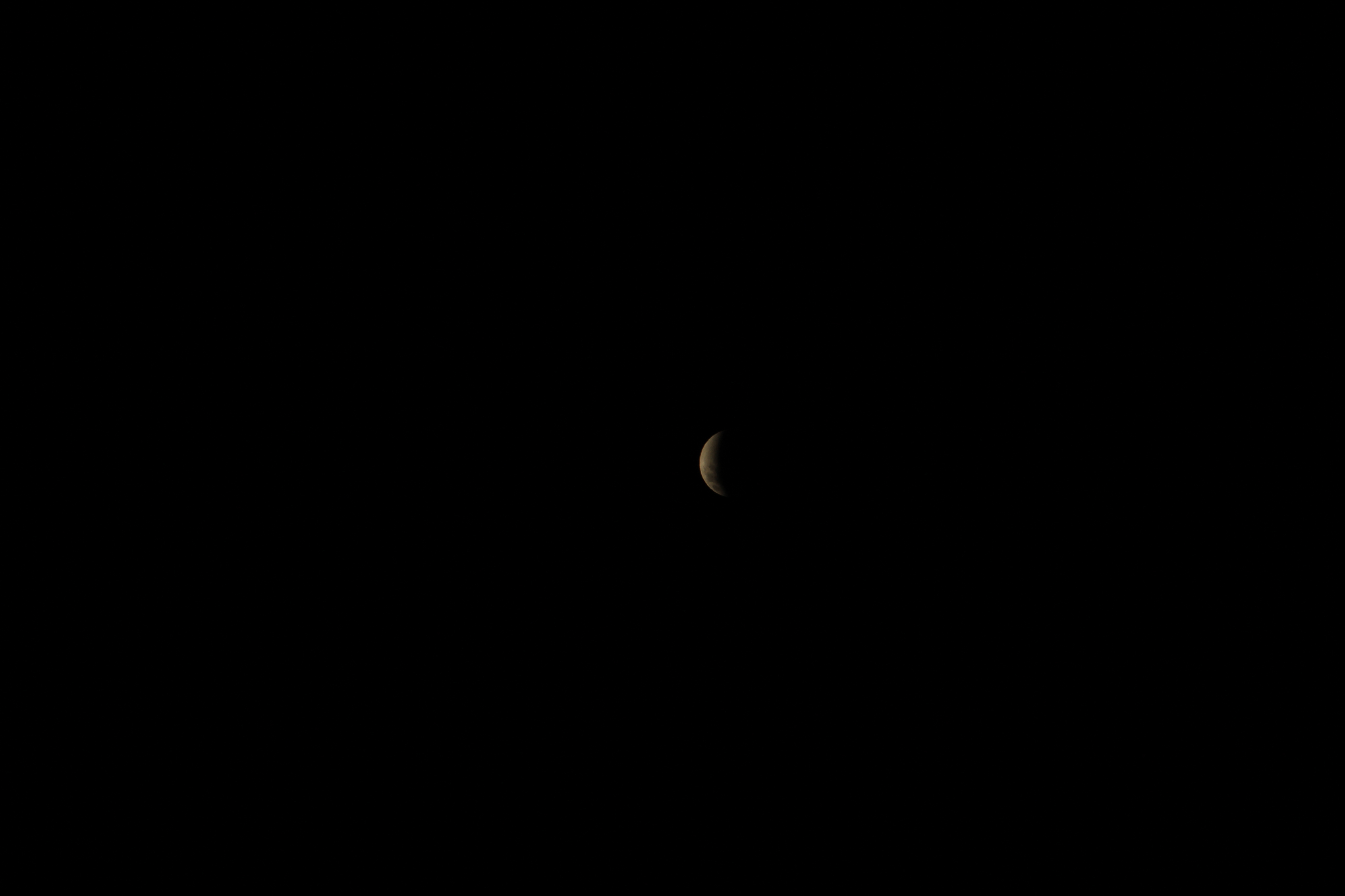 Lunar Eclipse Dec. 10 - Tony DiBerardinis