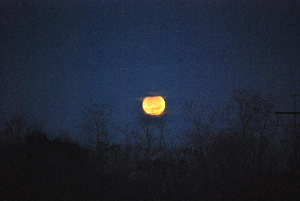 Lunar Eclipse Dec. 10 - Kyle Roberts