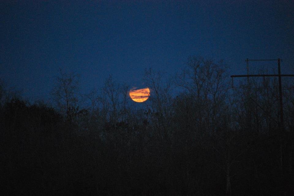 Lunar Eclipse Dec. 10 - Kyle Roberts