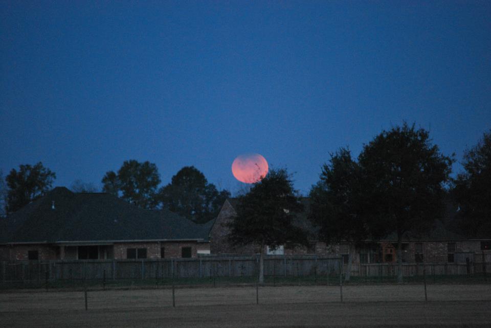 Lunar Eclipse Dec. 10 - Kyle Roberts