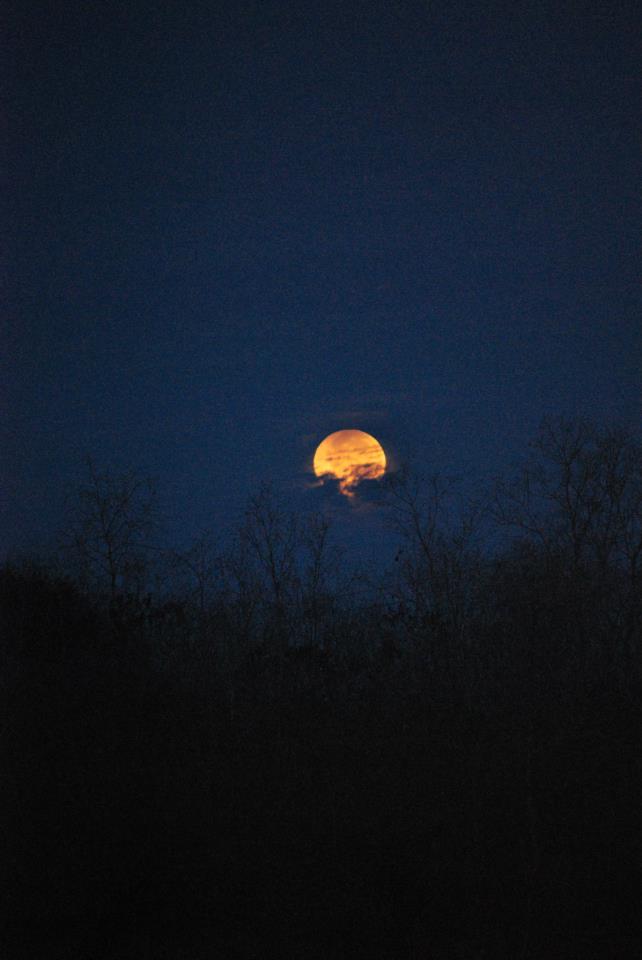Lunar Eclipse Dec. 10 - Kyle Roberts