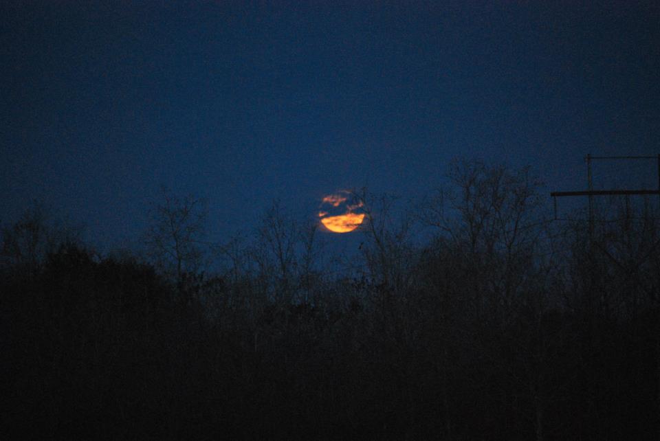 Lunar Eclipse Dec. 10 - Kyle Roberts