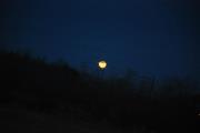 Lunar Eclipse Dec. 10 - Kyle Roberts