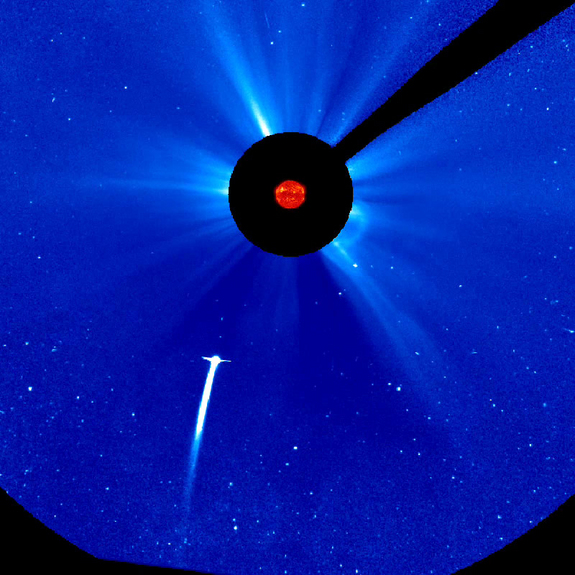 SoHo and STEREO spacecraft continue to watch Comet Lovejoy as it moves closer to the Sun and brightens. This still shows the comet headed towards the Sun, December 15, 2011.