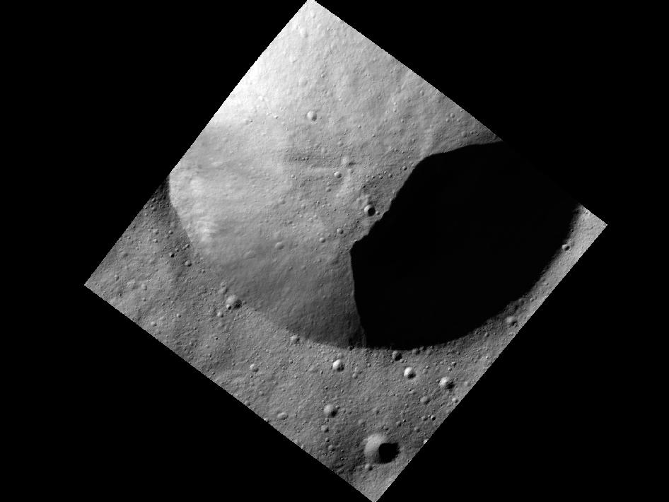Close-up Photo of Vesta