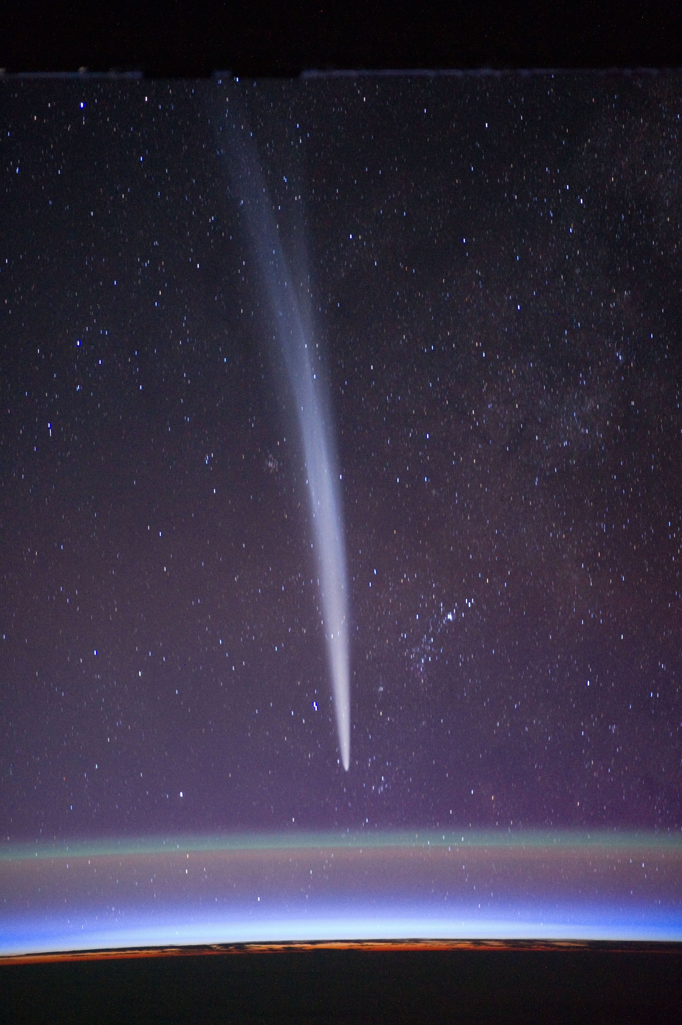 The Survivor Comet