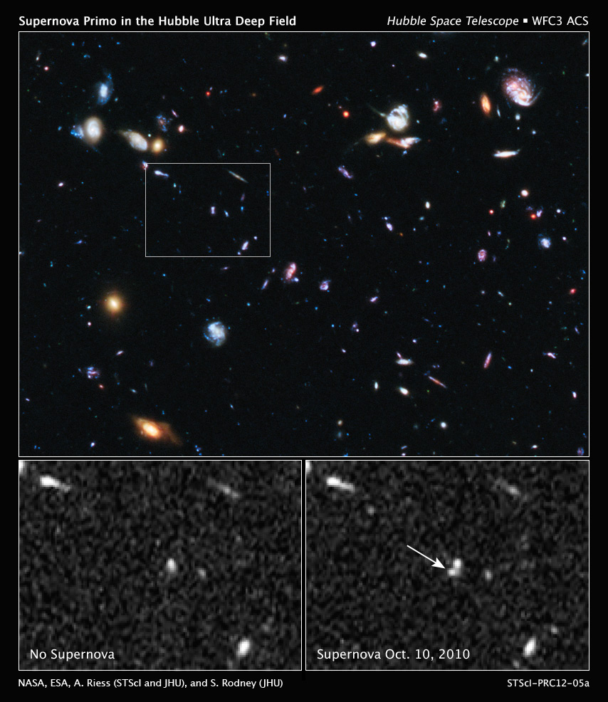 Hubble Image of Supernova SN Primo