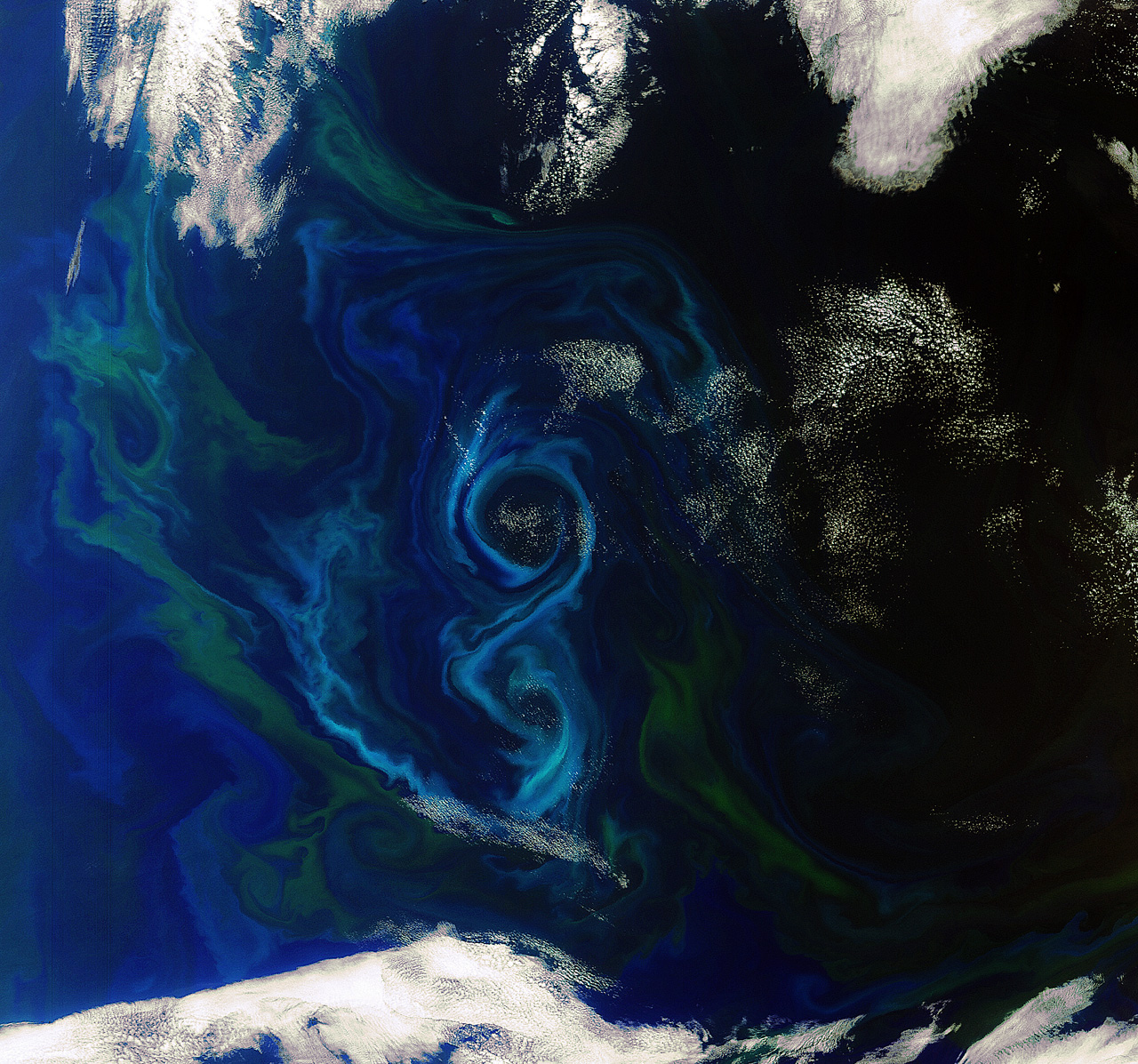 Envisat Spies Algae Bloom