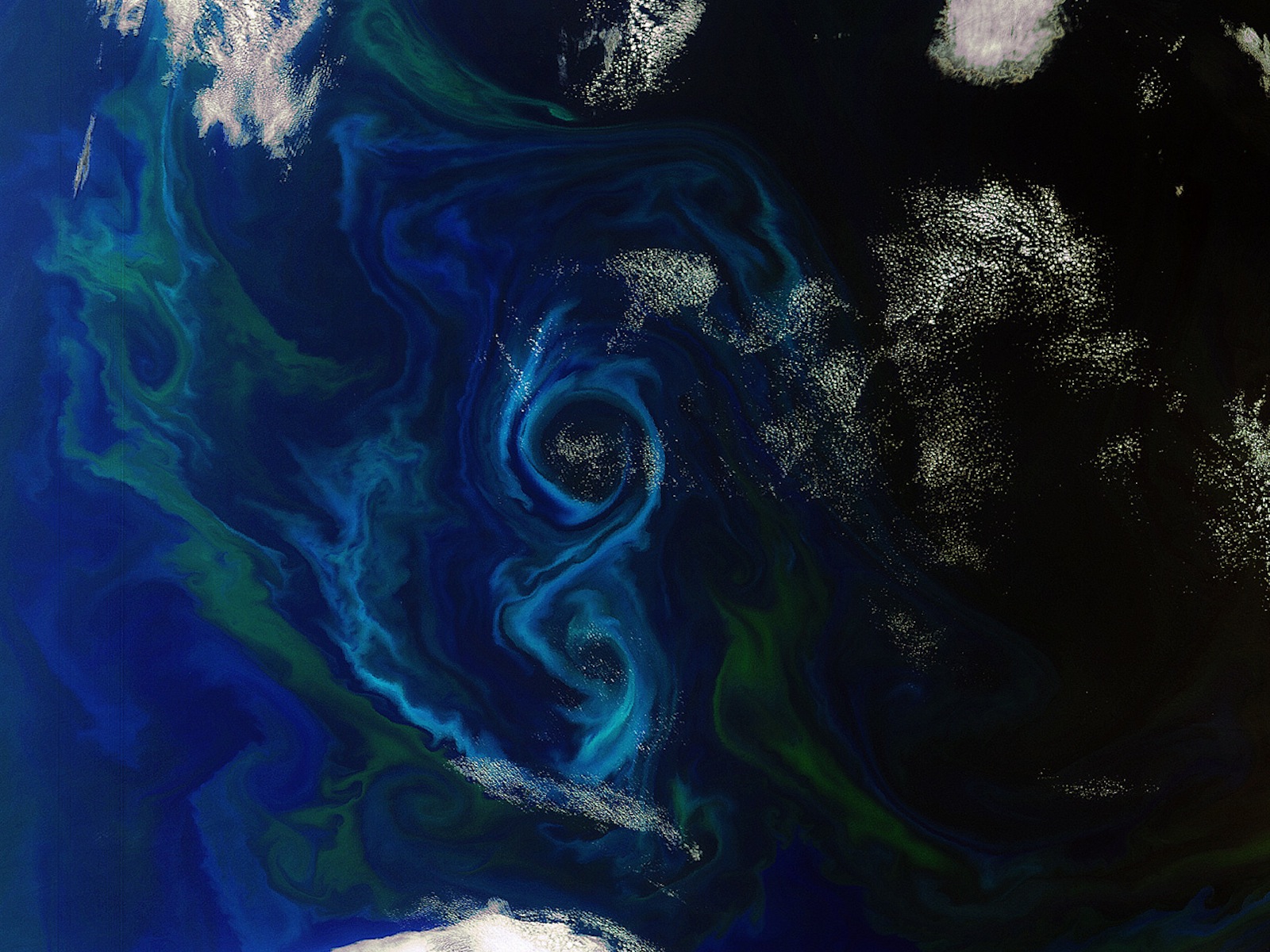 Algae Bloom Satelitte figure 8 1600