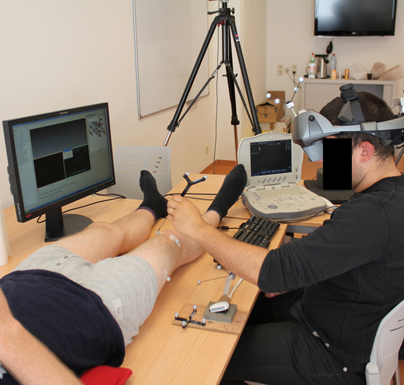 CAMDASS has been tested for usability at Saint-Pierre University Hospital in Brussels, Belgium, with medical and nursing students, Belgian Red Cross and paramedic staff. Untrained users found they could perform a reasonably difficult procedure without other help, with effective probe positioning.