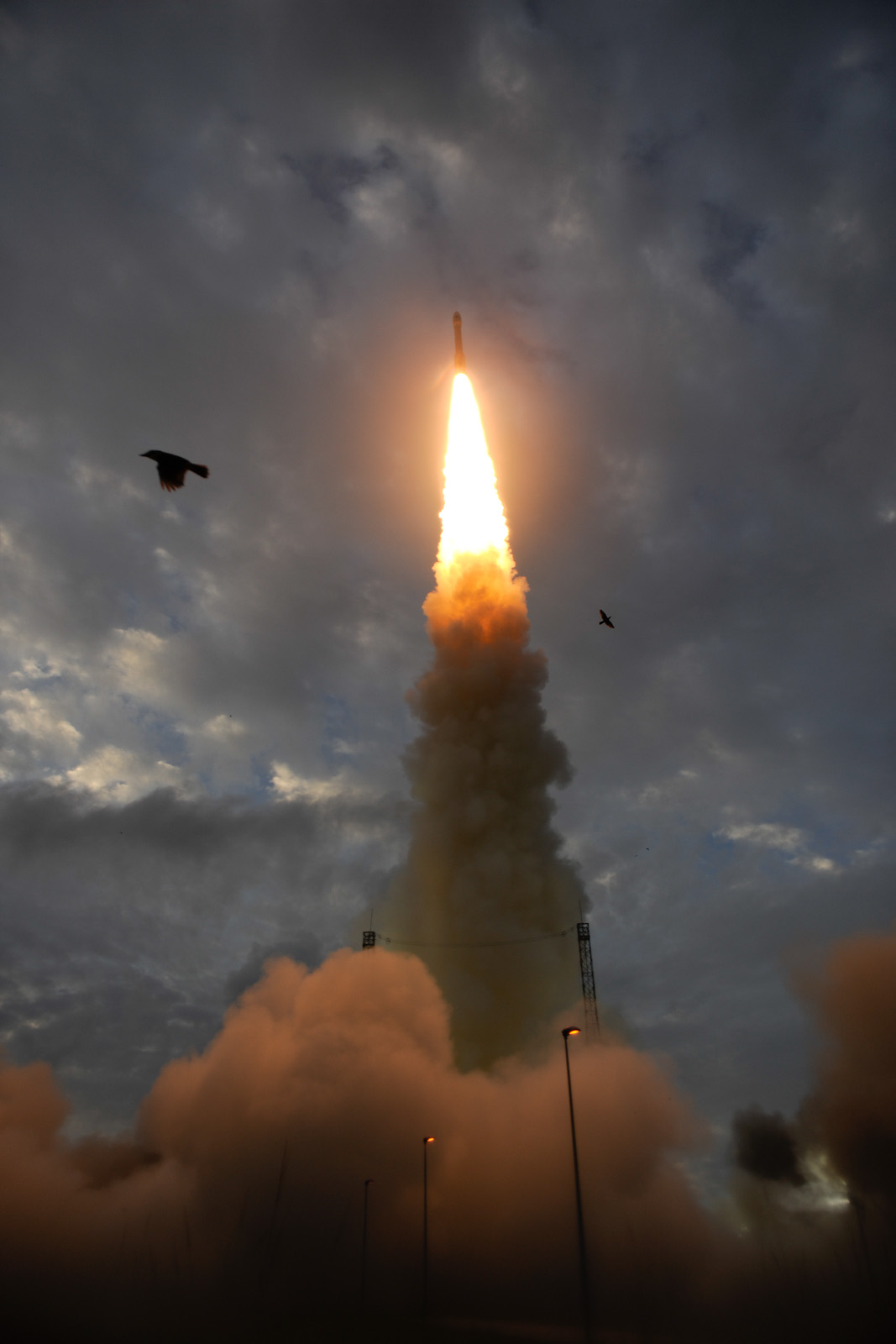 Vega Rocket Launches With Birds