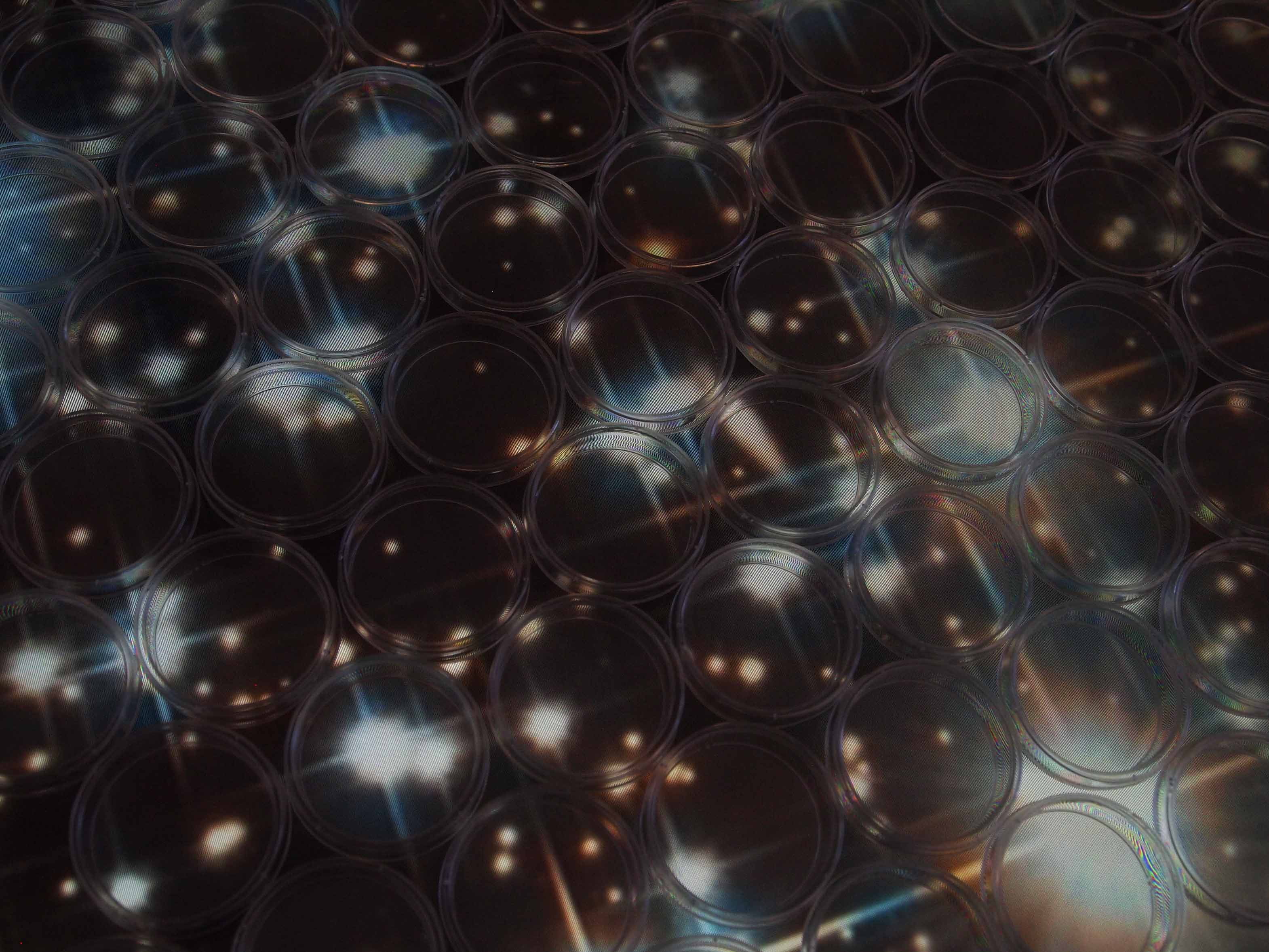 A Celestial Observatory for Microbes