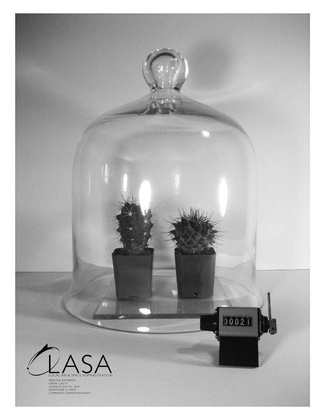 LASA's Alien Plants