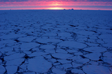 A planet’s surface ice reflects sunlight, decreasing the planet’s temperature