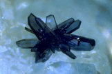 Could life on Europa have vivianite bones?