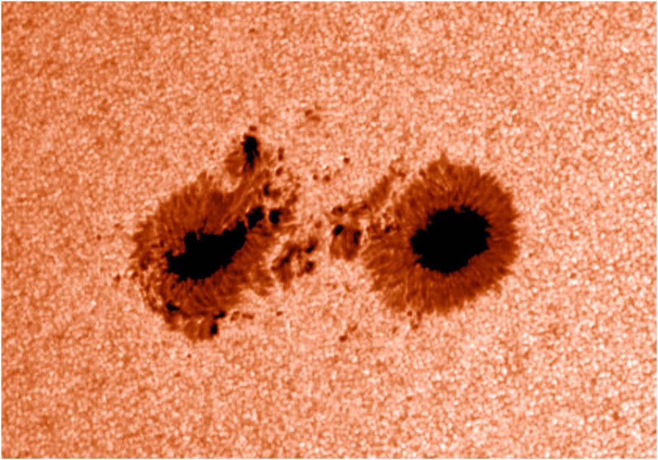 Observant Sunspots