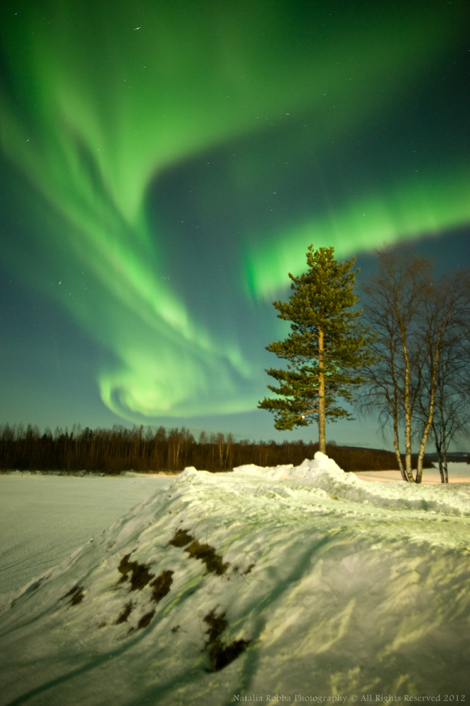 Aurora over Ivalo, Finland #2