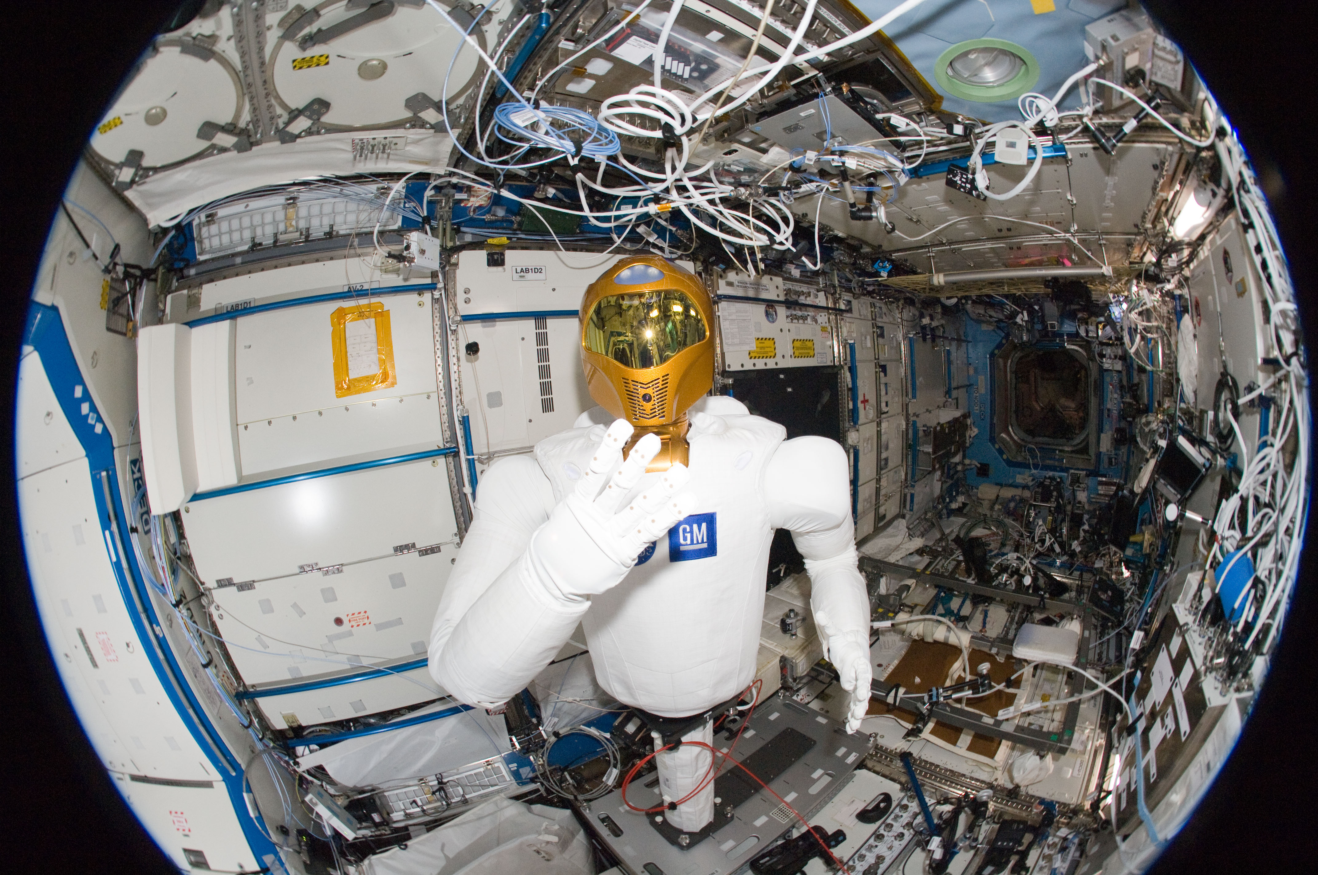Fisheye View of Humanoid Robot