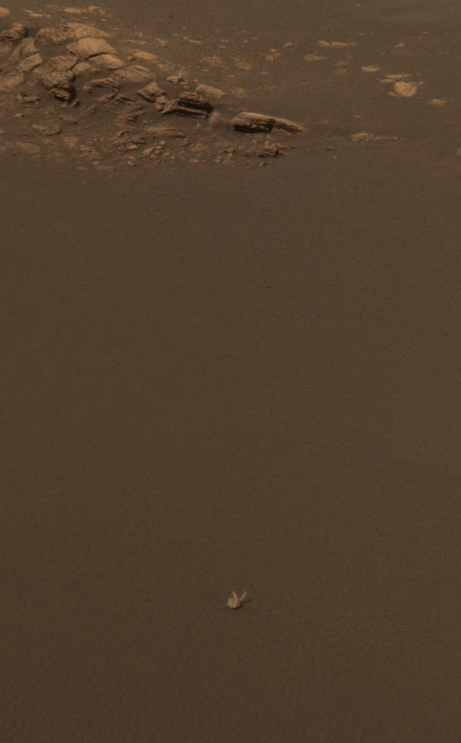 Bunny Rabbit on Mars
