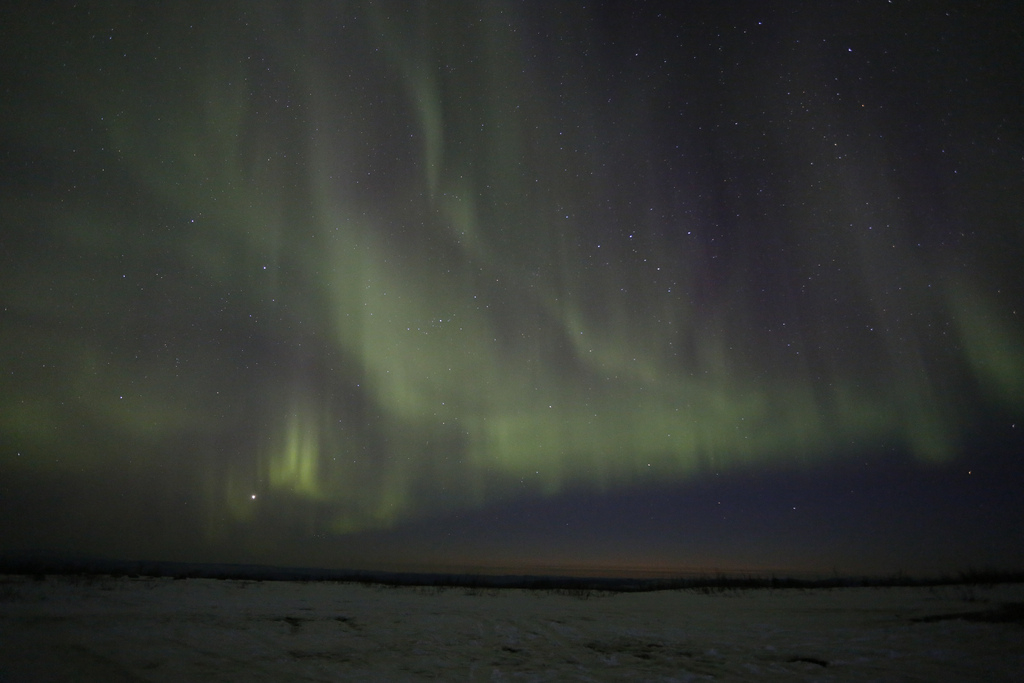 Alaska's Aurora Blazes Above the Snow