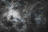 This annotated map identifies several prominent features in an image of the Tarantula Nebula (also known as 30 Doradus), a prominent region of star formation located in the Large Magellanic Cloud (LMC) the nearest neighboring galaxy to the Milky Way. The image was taken by the Hubble Space Telescope and released April 17, 2012.