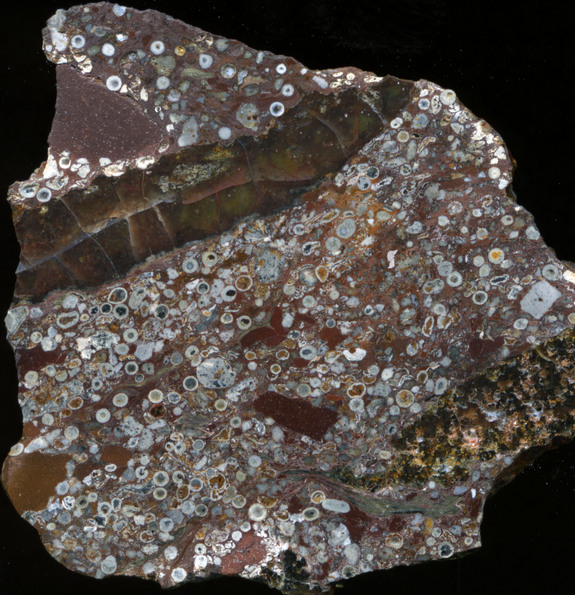 A sample of the 2.63 billion-year-old Jeerinah spherule layer from Western Australia. The millimeter-scale circles are impact spherules that once had crystalline rims (lighter) and central glass cores (darker) that were replaced by other minerals.