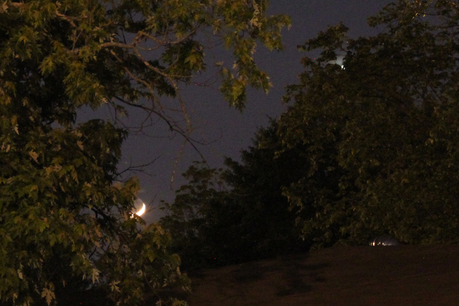 Venus and the Crescent Moon over Georgia
