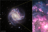 At left is an optical view of M83. At right is a composite image showing X-ray data from Chandra in pink and optical data from the Hubble Space Telescope in blue and yellow. The ULX is located near the bottom of the composite image.