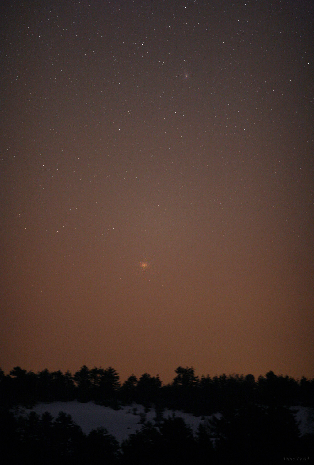 Omega Centauri Shines Over Dark Forest in Skywatcher Photo