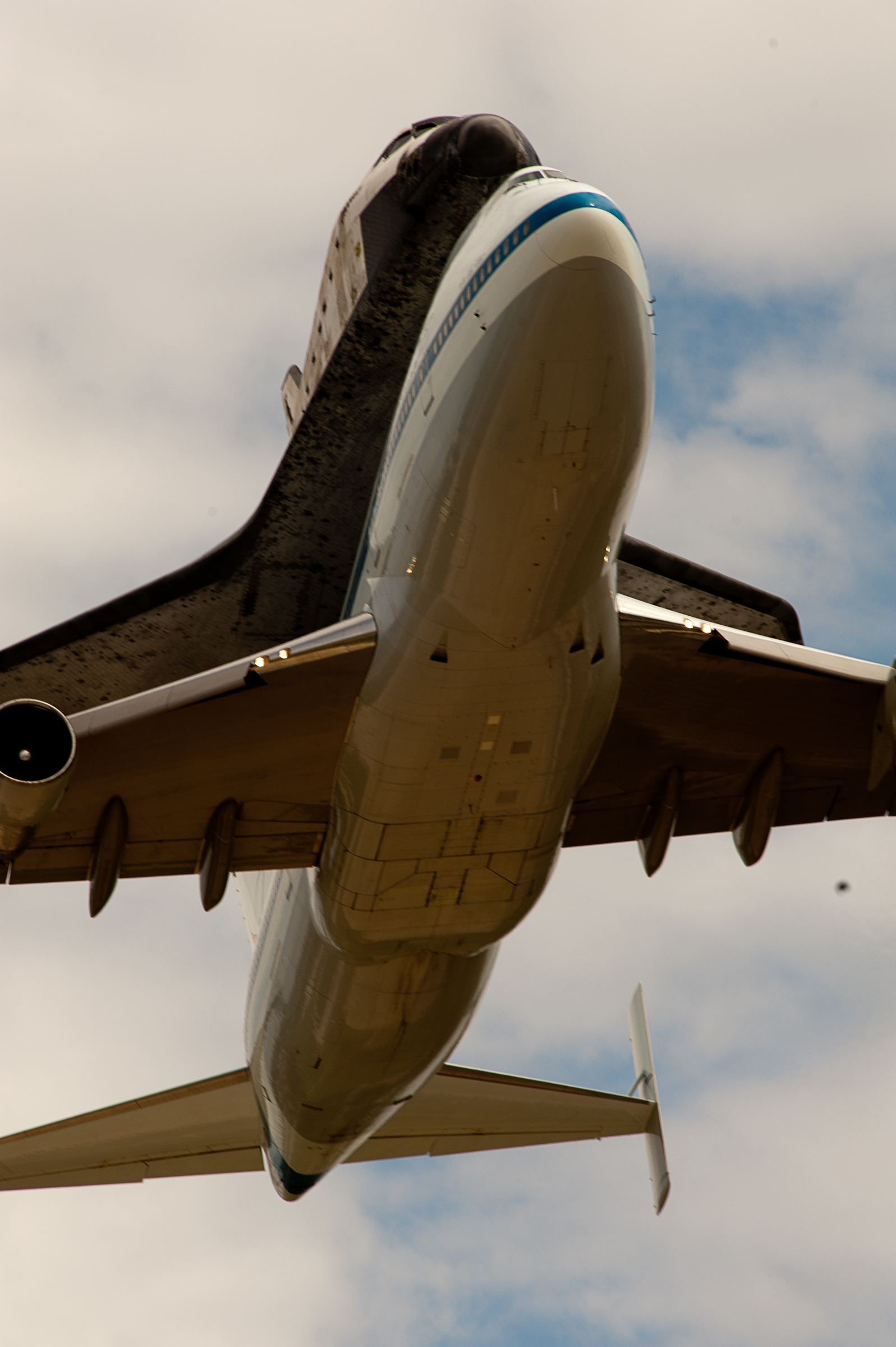 Discovery Flies
