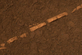 An examination of the small rocky outcropping known as Homestake revealed mineral deposited created by the flow of water. The cracks within this rock could potentially host life.