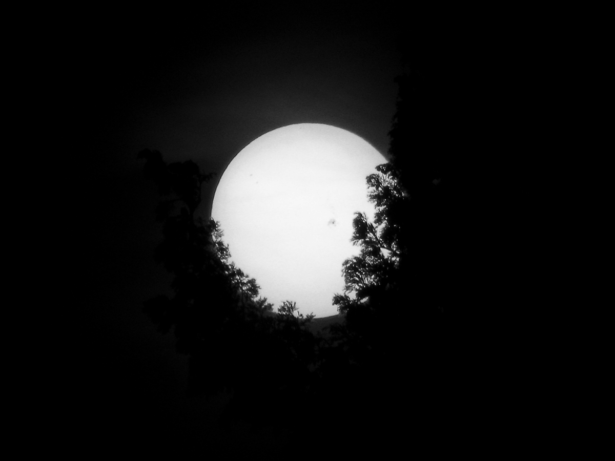 Sunspot AR1476 Viewed from Pisa, Italy #1