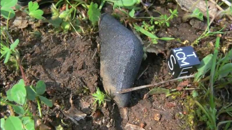 Sutter's Mill Meteorite Fragment