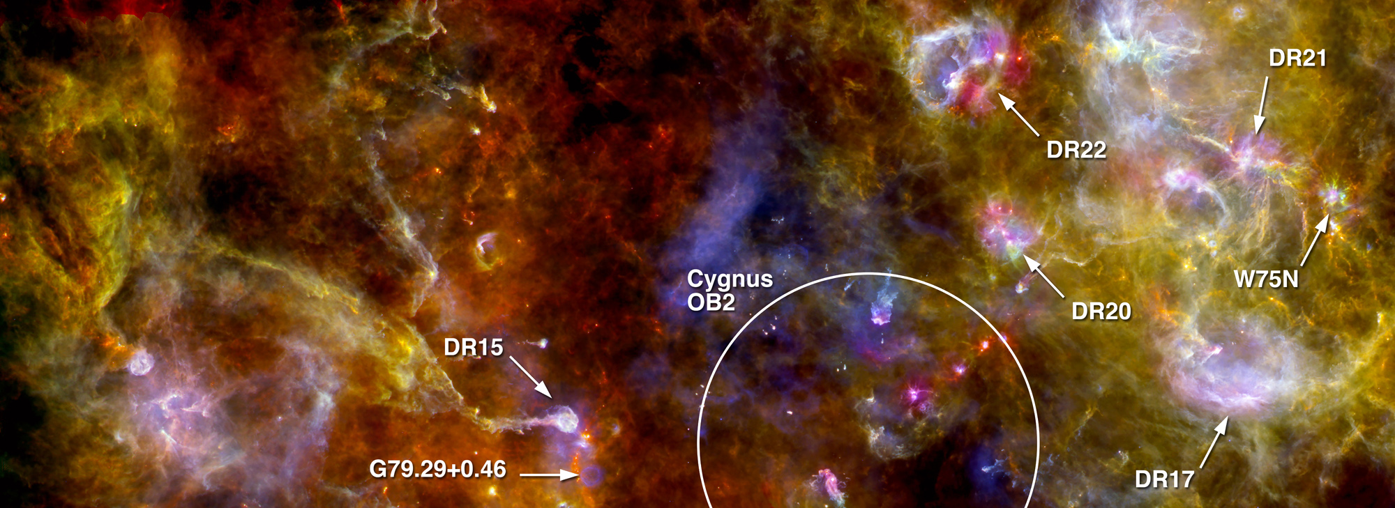 Annotated Image of Cygnus-X Star-Forming Region