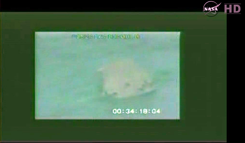 Dragon Floats in Pacific
