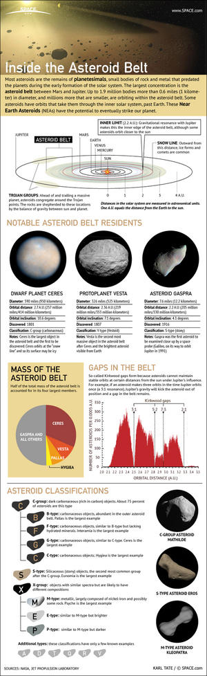 Most asteroids orbit the sun within a broad belt located between the orbits of Mars and Jupiter: the asteroid belt. <a href="http://www.space.com/15948-asteroid-belt-space-rocks-infographic.html">Get the facts about the asteroid belt in this SPACE.com infographic</a>.