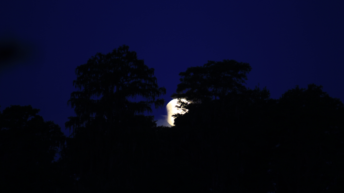 Partial Lunar Eclipse Seen from Palm Harbor, FL