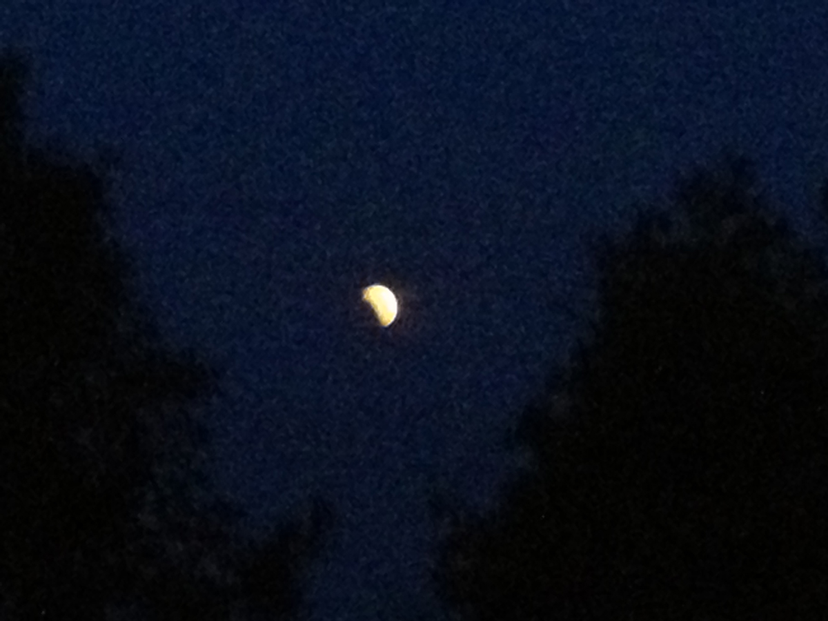 Good Morning, Beautiful Eclipse!