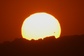 Venus-transit-at-sunset