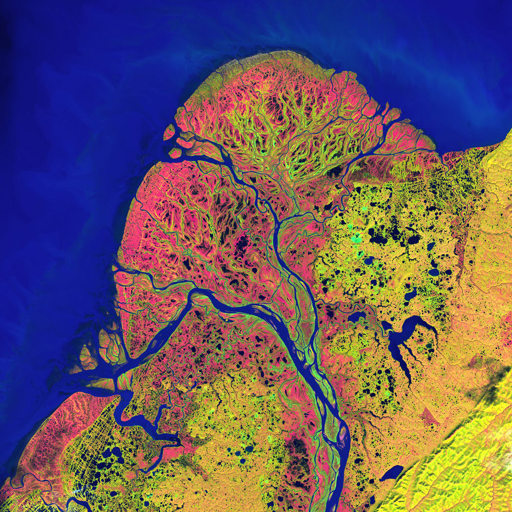 2nd Place: Yukon Delta Landsat 7 Acquired September 22, 2002