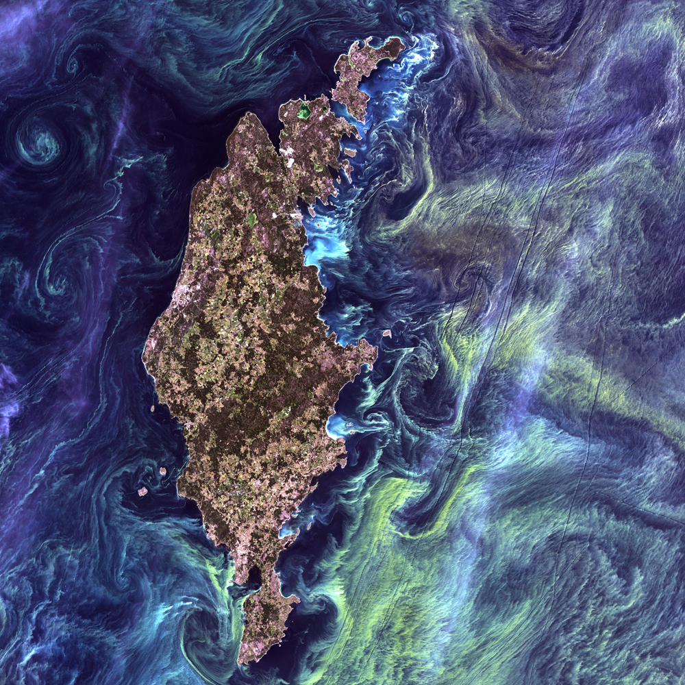 1st Place: Van Gogh from Space Landsat 7 Acquired July 13, 2005