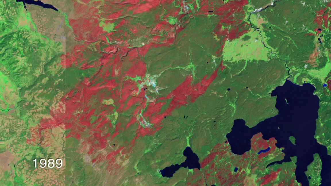 Yellowstone National Park Fires