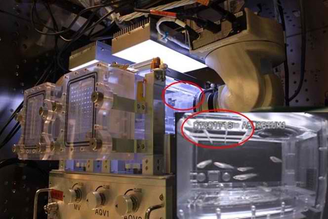 Space Fish Habitat Air Injection