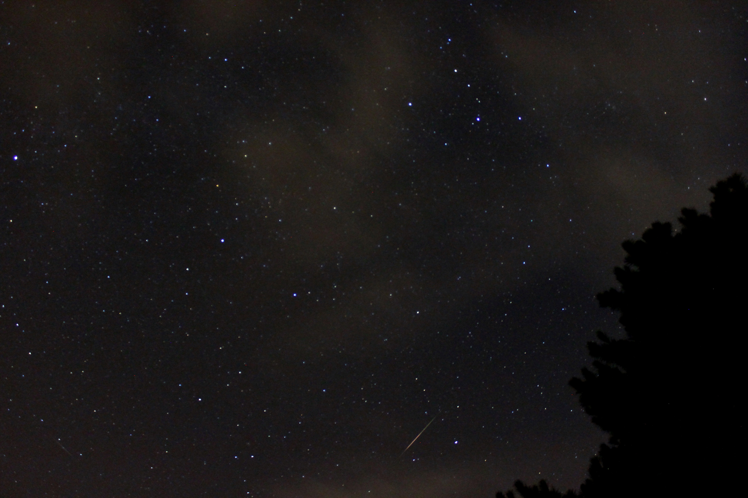 Perseid Meteor Shower 2012: Samuel Hartman