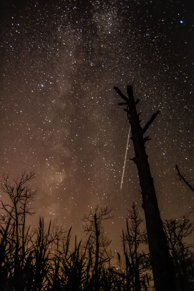 Perseid Meteor Shower 2012: Chris Bakley
