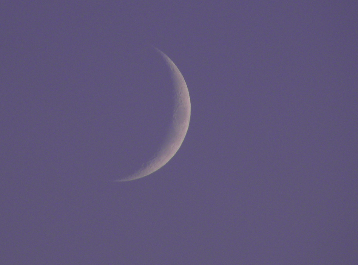 Crescent Moon Seen from Vassar, MI
