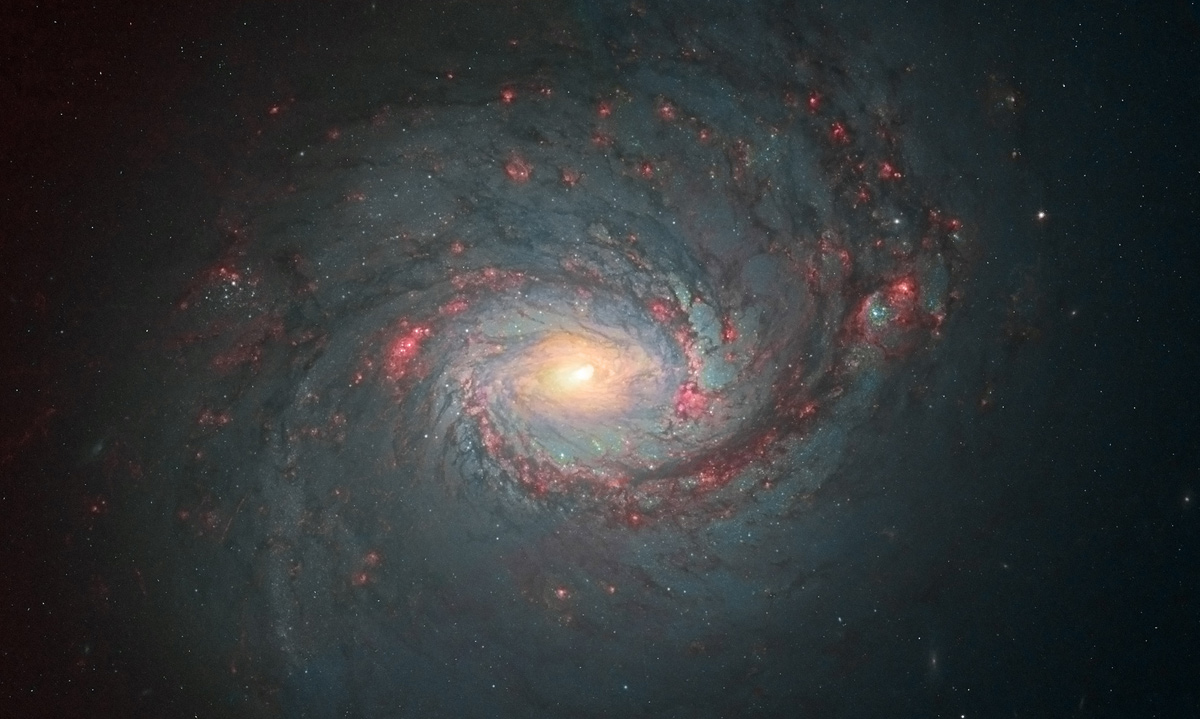 Second Prize: Andre van der Hoeven, Spiral Galaxy Messier 77