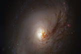 Robert Gendler (USA) is a well known figure in the amateur image processing world. His version of Hubble’s image of NGC 3190 is the default desktop image on new Apple computers. Robert submitted a number of excellent images into the competition. This image of Messier 96 was the jury’s favourite.