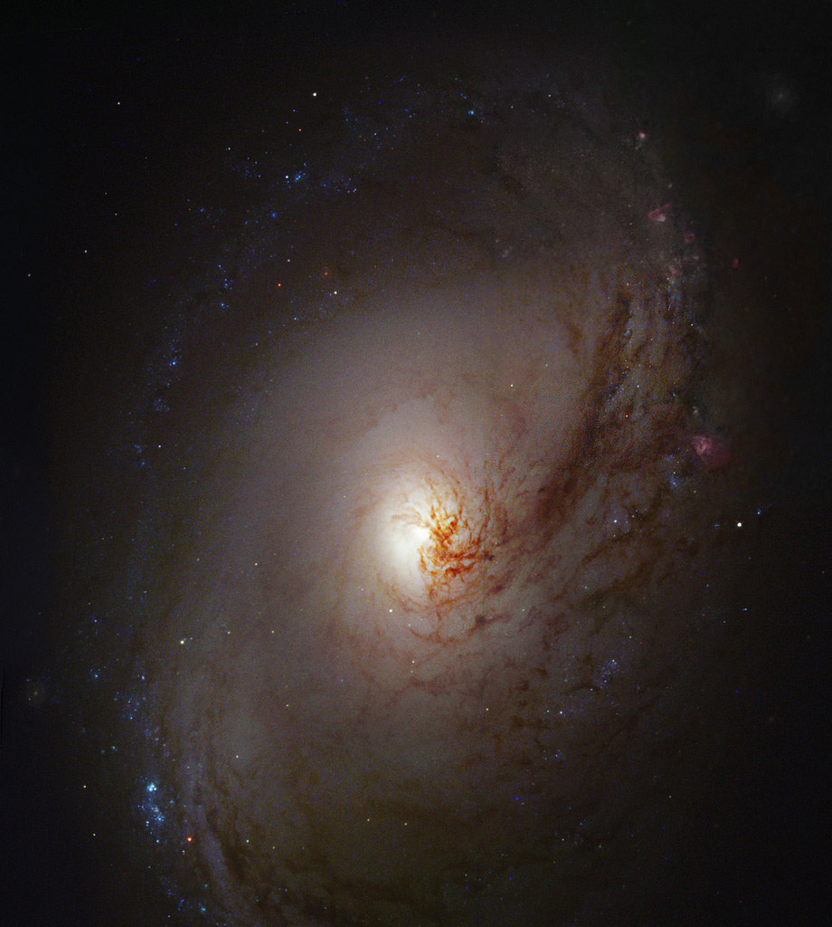Robert Gendler, Spiral Galaxy Messier 96