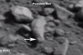 "Possible ancient finger" spotted in Curiosity photos.